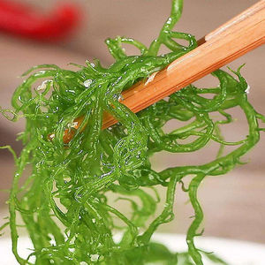【食用海藻海草2斤/5斤】福建龙须菜500克凉拌菜火锅菜美食袋包装