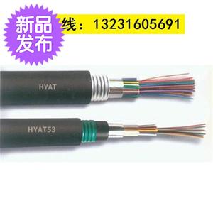 铠装通信电缆HYA53 10X2X0.5l 25对 30对电话线 ZR-HYAT22 HYA23