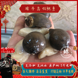 大连海鲜獐子岛野生假鲍鱼鲍螺超大新鲜贝类麻辣老婆脚海蜗牛海