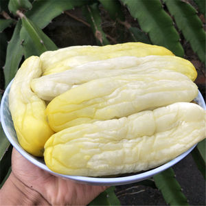 广西特产玉林博白钦州农家脆黄瓜皮干香嫩腌制咸菜榨菜下饭菜袋装