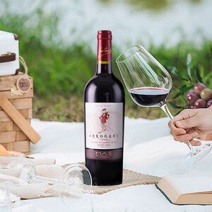 法国进口朗格多克餐酒蛙哥arrogant frog赤霞珠梅洛干红葡萄酒