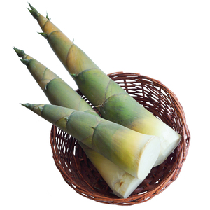 师蔬 现货新鲜竹笋广东麻竹笋野生大头甜笋农家蔬菜现挖广西春笋