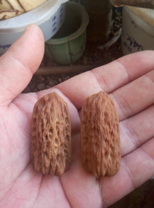 野生象形异形核桃绣花鞋东北小瓜条文玩秋子核桃精配对