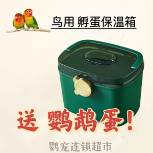孵化器小型家用孵化机全自动智能孵化箱小鸡鸭鹅鸽鹦鹉种蛋孵蛋器