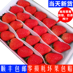 当天空运新鲜水果草莓供奶茶榨汁蛋糕装饰双流酸草莓4盒顺丰包邮
