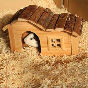 友强原生态松鼠窝木房子木屋天竺鼠蜜袋鼯花枝飞鼠豚鼠仓鼠用品