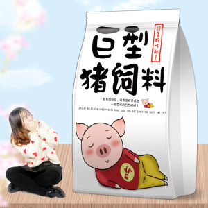 猪饲料进口零食大礼包超大巨型网红小吃休闲食品整箱送女友礼物小