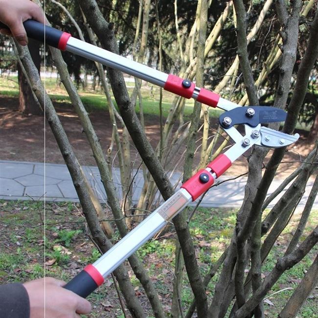 粗枝剪大号省力剪钳剪刀树枝树剪电动果树修枝液压剪树修剪钳树