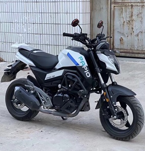 进口春风狒狒st125电喷水冷街车小猴子nk150越野250小怪兽摩托车