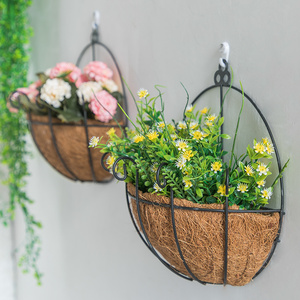 墙上挂的绿植花盆