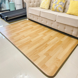 碳晶移动地暖垫 石墨烯电热地毯客厅 家用榻榻米电加热炕垫地板垫