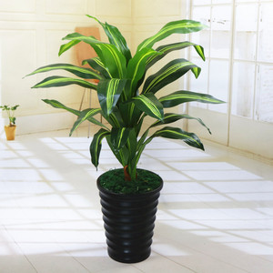 绿植树假树巴西木仿真植物客厅落地盆栽风水招财树酒店装饰花室内