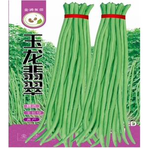玉龙翡翠豇豆种子高产青绿长豆角春秋种植荚长75-100厘米大田良种