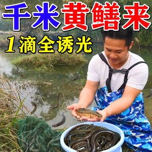 诱黄鳝神器【1滴千米黄鳝来】诱黄鳝药捉黄鳝专用诱饵黄鳝引诱剂