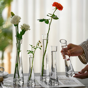 北欧风格ins风小花瓶客厅插花摆件玻璃透明水养鲜花迷你简约花器
