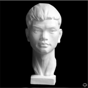 美术用品画材素描陶瓷器静物陶罐写生石膏教具石膏像广东青年50cm