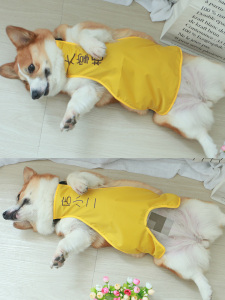 防水薄款搞笑防着凉宠物柯基肚兜围肚子狗狗护肚衣服肚兜护