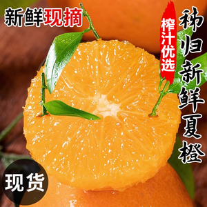 【爆汁夏橙10斤】秭归脐橙新鲜橙子品种脐橙江西子新鲜水果5