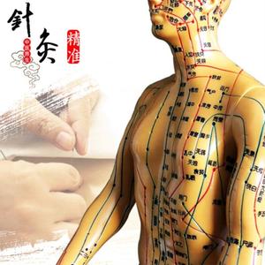 精准人体经络穴位按摩模特模型女模型血位高清全身大医院头