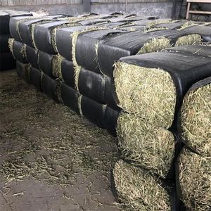 苜蓿草干草50斤家畜牛羊马羊驼食用草料动物园宠物养殖场干草饲料