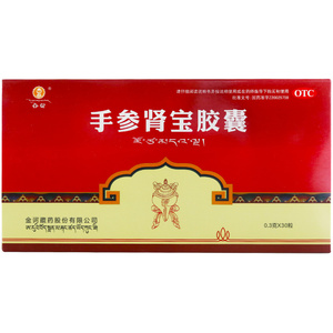 金诃 手参肾宝胶囊 0.3克*30粒温肾补阴用于肾虚腰虚酸软眩晕乏力