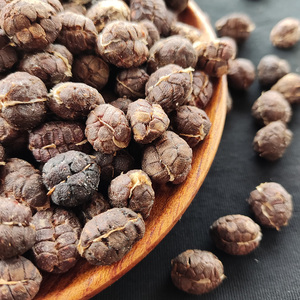 【春砂仁籽】砂仁米正宗阳春原产地  带磨粉机