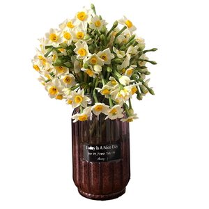 进口水仙百合鲜花云南直发六出花绿石竹家用同城速递插花绿毛球