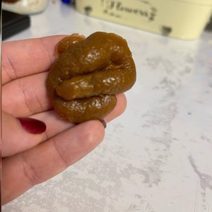 沙雕整蛊假粑粑捏捏便便好玩吓一跳创意整蛊玩具便便苍蝇狗屎解压