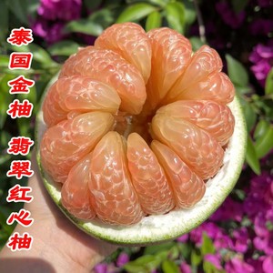 泰国金柚青皮红心柚子新鲜孕妇纯甜水果蜜柚翡翠红柚子红肉青柚