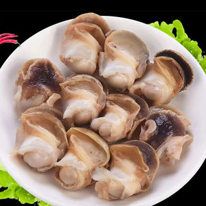 速冻海螺肉