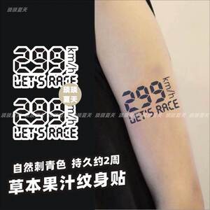 机车爆表299km纹身贴草本植物果汁高级感男手臂手腕半永久小图案