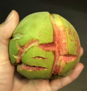 初秋裂桃子山东正宗安丘蜜桃新鲜离核脆桃甜毛桃青州桃孕妇水果