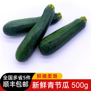 青节瓜500g 新鲜蔬菜青西葫芦绿色茄瓜 全国多省5件包邮