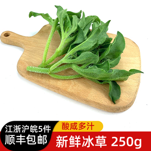 新鲜冰草250g 冰菜冰叶西餐凉拌火锅生吃沙拉蔬菜食材 满5件包邮