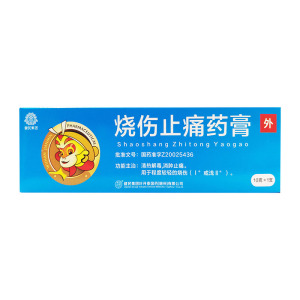 健民 烧伤止痛药膏 10g*1支/盒 清热解毒消肿止痛烧烫伤水泡热毒Ⅱ度