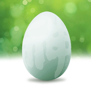 华绿神蛋儿童孕妇正宗营养蛋天然绿壳蛋新鲜无菌鸡蛋江西整箱30枚