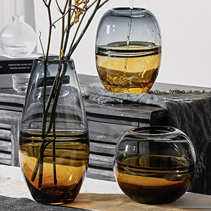 水养玻璃花瓶摆件客厅插花干花透明北欧现代简约轻奢ins风格餐桌