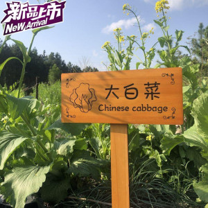 农场插地牌木质菜园牌子花草温馨提示牌户外菜地牌草坪园艺标识3