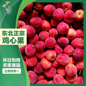 东北鸡心果锦绣海棠果农家自种特产孕妇小苹果糖心1-5斤吉林包邮
