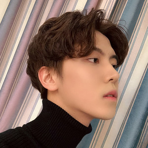 短发刘海蓬松男发套