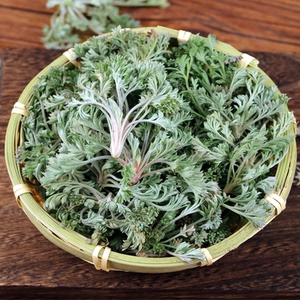 22年新鲜茵陈草陕西野生绵茵陈白蒿新鲜野菜整颗采挖三月茵陈