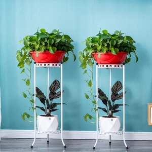 放吊兰的花架子绿萝