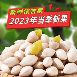 2023新鲜银杏果白果食材煲汤炒菜熬粥原料无漂白新货家用商用