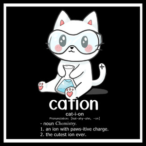 化学元素阳离子猫cation长袖圆领卫衣男女秋冬宽松加绒外套上衣服