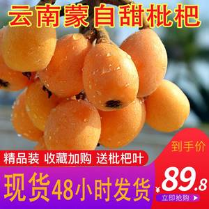 现货云南蒙自杷枇杷新鲜水果现摘琵琶果3斤大批当季整箱特产_阿里巴巴