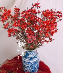 欧洲新款云南昆明鲜花进口奥梅花 澳梅一扎起批上海速递梅花江浙