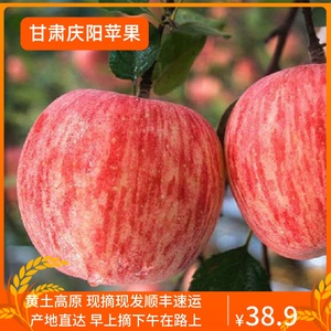 甘肃庆阳苹果水果冰糖心2023新鲜丑平果红富士10斤5斤非昭通洛川