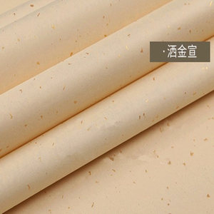 安徽宣纸生宣半生熟尺八屏小八尺70*240cm仿古洒金宣书法创作专用