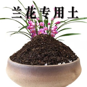 兰花专用土兰花草土壤养花种花泥土营养土通用种植土盆栽有机肥料