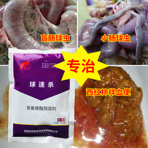 球速杀鸡药禽用球虫药散鸡鸭鹅小肠盲肠驱球虫病红色稀粪血便禽药
